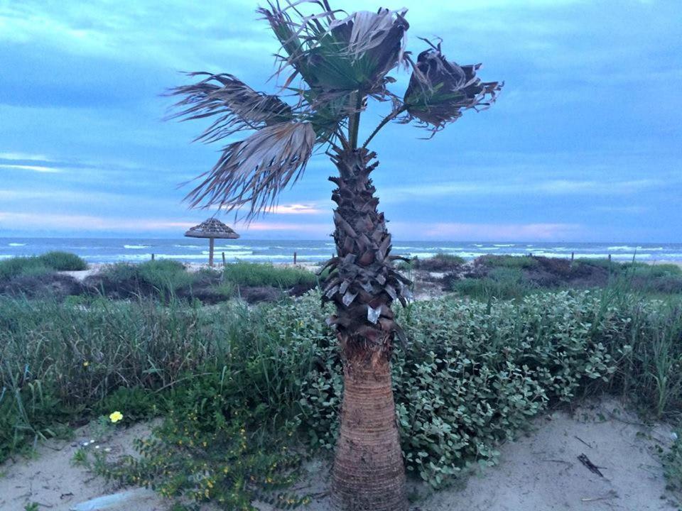 Unobstructed Oceanfront Sea Turtle Unit 2 Beach Pad! Surfside Beach Ngoại thất bức ảnh