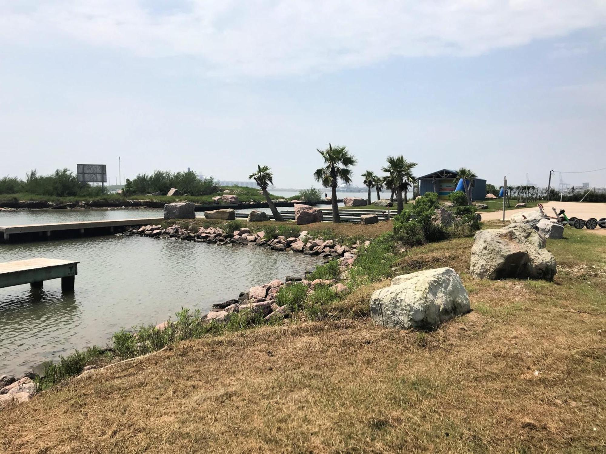 Unobstructed Oceanfront Sea Turtle Unit 2 Beach Pad! Surfside Beach Ngoại thất bức ảnh